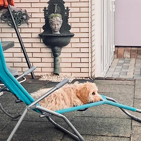 Casita - Sterneferienhaus Mit Garten, Sauna Und Wallbox Semesterbostad *